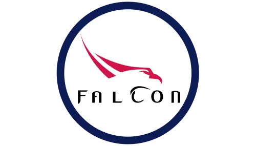 فالكون للحراسات